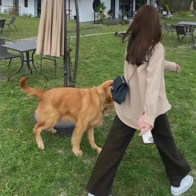 你和你的工作室